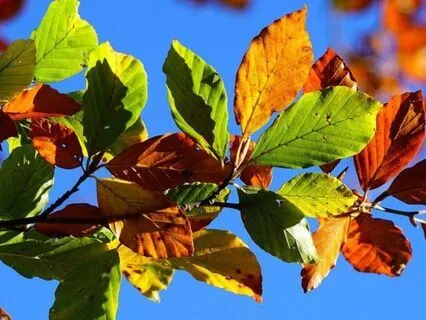 September Ascension: Equinox, Blood Moon & Spiritual Balance