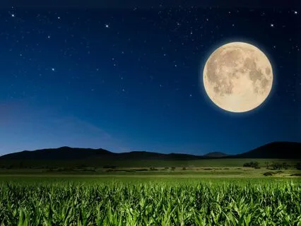 September Full Moon In Pisces & Lunar Eclipse Meditation