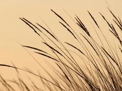 September Wind Energy: Power And Vision