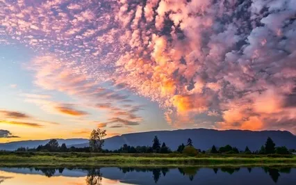 Ser De Luz ( For Sheila ) Guest Aleia ( Voice)