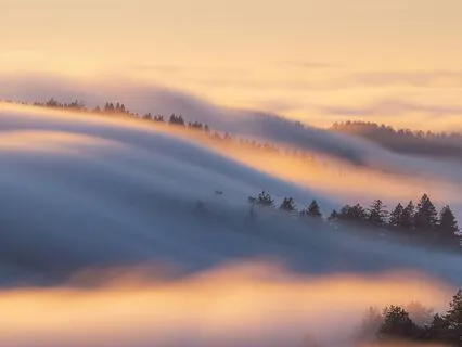 Seraphine Wings (Intuitive Binaural)