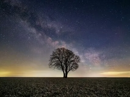 Serenade Of Stillness With 174 Hz