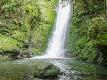 Serenade Of The Spirits