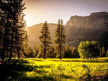 Serenading Tranquility - Soothing Sleep For Anxiety