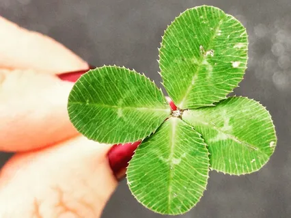 Serendipity & The Soul