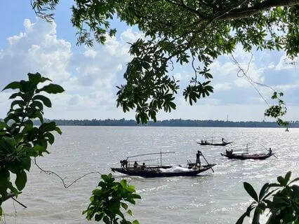 Serene Beginnings: Gentle Light Of The Morning