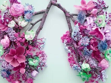 Serene Breathing: A Moment Of Calm In Your Day