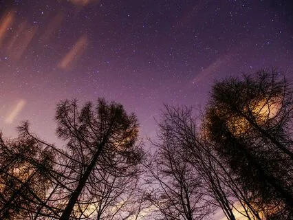 Serene Dreams: Stress-Free Rest