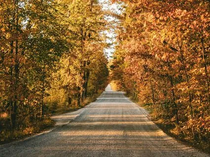 Serene Escape: Soothing Tunes For Anxiety