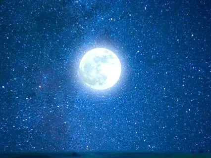 Serene Garden Crickets for Deep Sleep-8 Hours of Night Calm