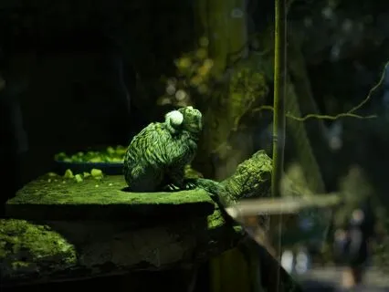 Serene Jungle Nights: Embrace The Calm Of Nature’s Heartbeat