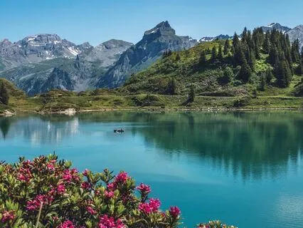 Serene Lotus Journey With Buddha