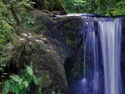 Serene Music For Calmness