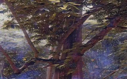  Serene Nature Soundscape