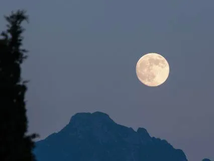 Serene Night - Relaxing Sounds Of Nature | 8 Hours