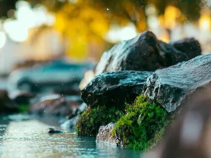 Serene Oasis: A Meditation For Inner Peace