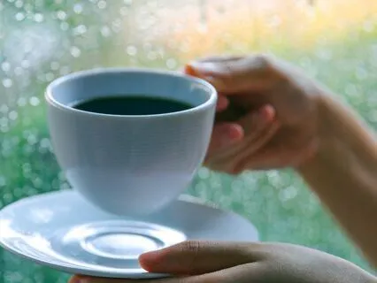 Serene Rainy Morning Sun Peaking Through Ambiance