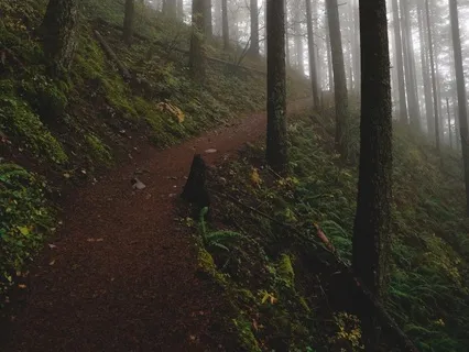 Serene Reverie : Focus Meditation