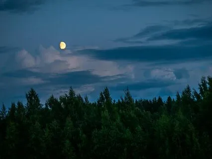 Serene Slumber: Relax And Recharge