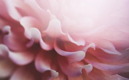 Serene Sovereignty: B2 (2Hz Delta Binaurals)  Crown Chakra