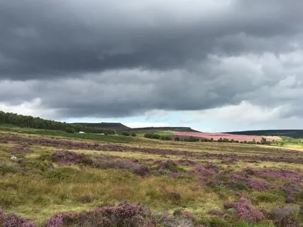 Serene Storms (25 Minutes)