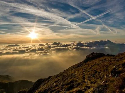 Serene Study Vibes: Ambient Relaxation Melodies