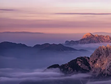 Serenetude For Comfort