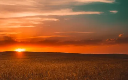 Serenetude For Hope (5 Minute Version)