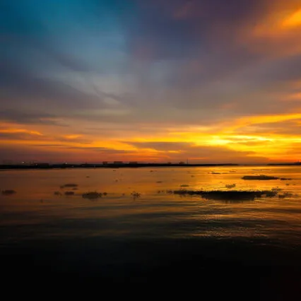 Serenetude For Stillness