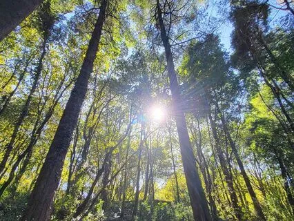 Serenidade E Harmonia Em 16 Segundos