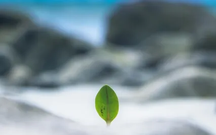 Serenity – Addiction Recovery