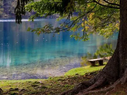 Serenity - An Auditory Visualization For Relaxation