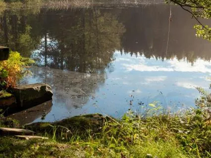 Serenity at the Lake