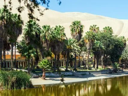 Serenity At The Oasis