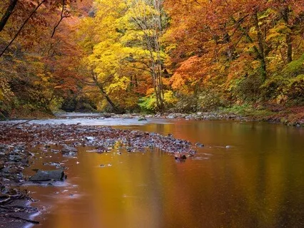 Serenity - Bubbling & Babbling Brook