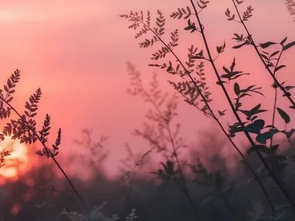 Serenity Echoes: A Gentle Escape For Mind And Soul | 3D