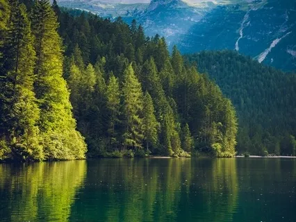 Serenity Guided  Meditation For Peace & Healing