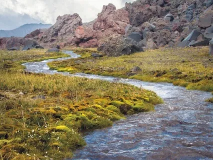Serenity In Flow: The Sounds Of A Bubbly River