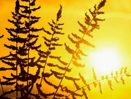 Serenity in Motion – A Gentle Space For Heartfelt Calm