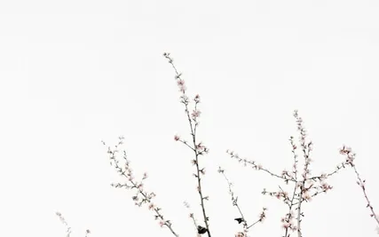 Serenity In Motion: A Guided Body Scan Meditation