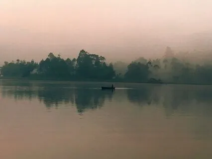 Serenity In Solitude