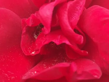 Serenity In The Storm