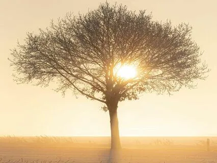 Serenity Magical Drift