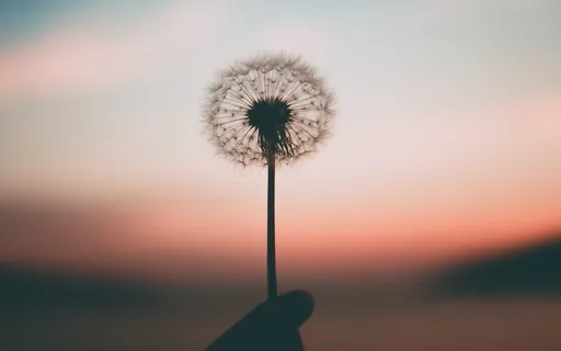 Serenity Now Guided Meditation 