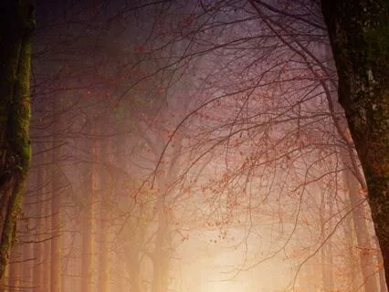 Serenity Over Anxiety | Zipper Meditation (Chakra Cleansing)