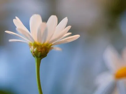 Serenity Prayer Meditation