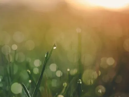 Serenity Prayer Meditation