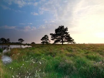 Serenity: Relax And Rejuvenate