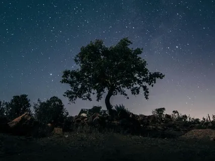 Serenity’s Slumber: Ambient Music & Binaural Beats For Sleep