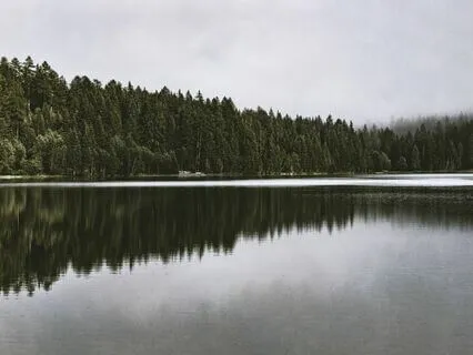 Serenity Sleep: Calming Bedtime Meditation